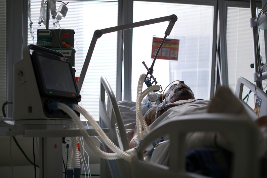 Study |  The majority of Brazilians in intensive care are under the age of 40