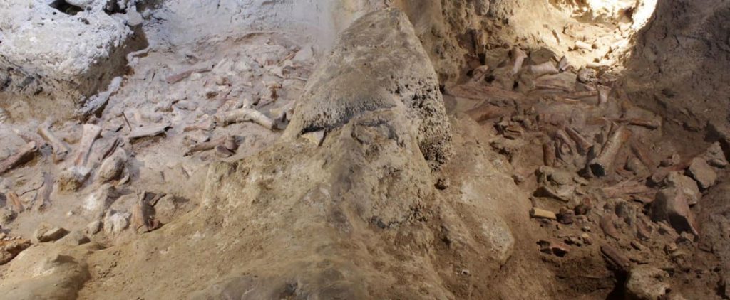 [EN IMAGES] The remains of nine Neanderthals have been found in the cave