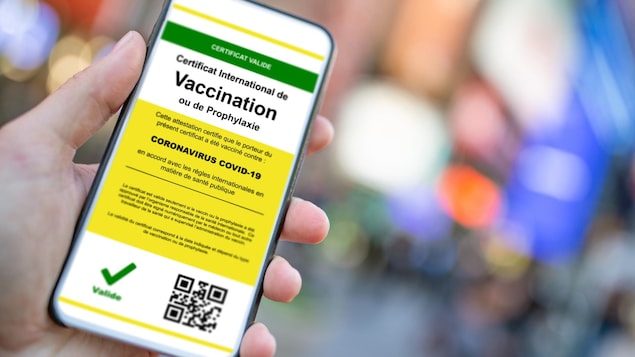 Ottawa finally adheres to the principle of a vaccine passport |  Corona Virus