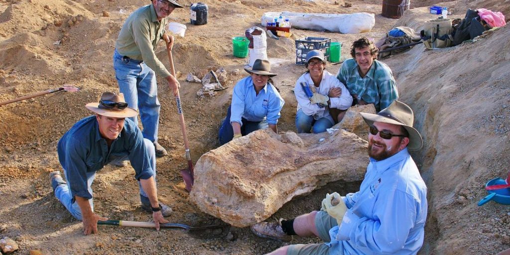 The largest dinosaur found in Australia has been identified as a new species