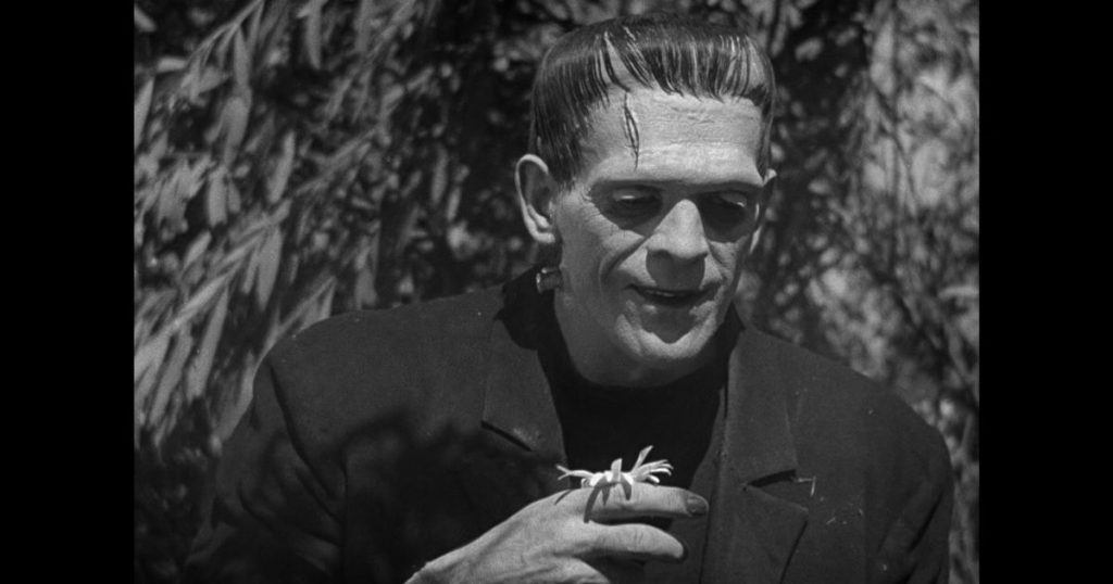 Frankenstein celebrates 90 years in cinema - rts.ch
