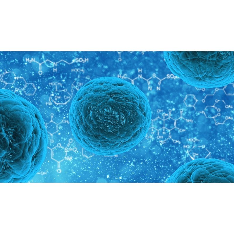 Stem cells: Exceeding the 14-day limit?