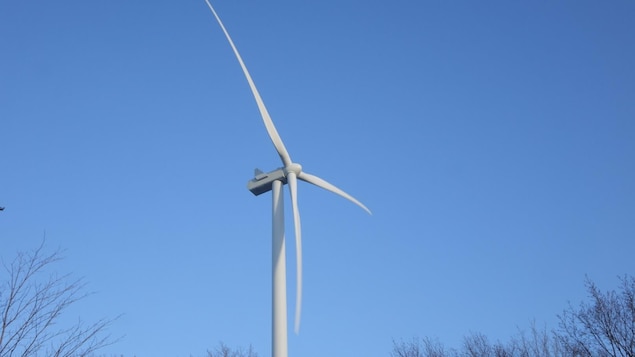 Hydro-Québec will launch a call for bids to produce 300MW of wind energy