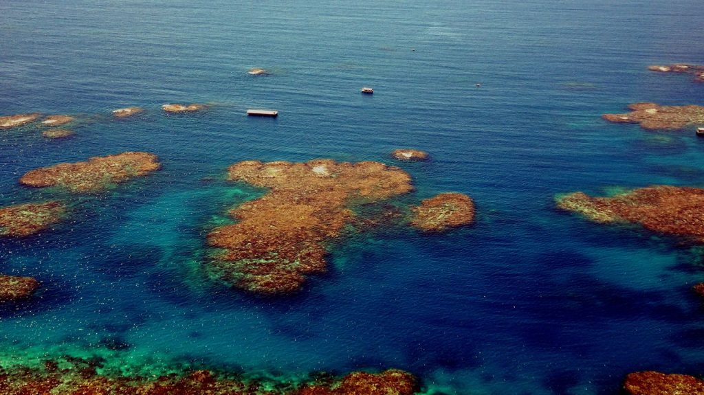 Scientists say the Great Barrier Reef outlook is "very bad"