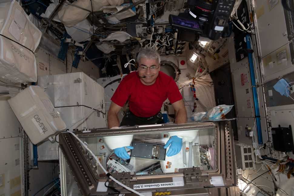 Près D'un An Dans L'espace : L'astronaute De La Nasa