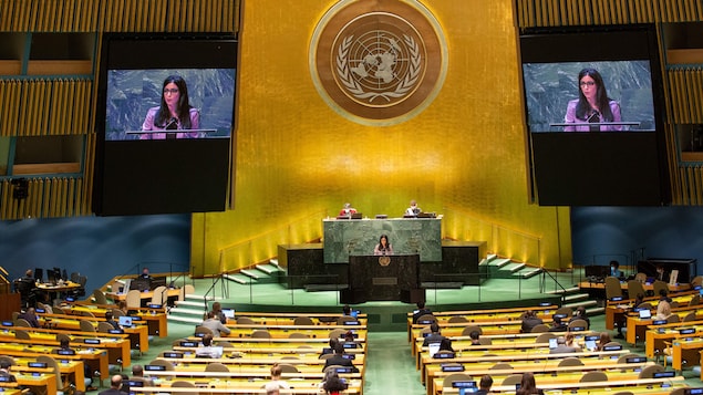 Myanmar and Afghanistan silent at a special session of the UN General Assembly