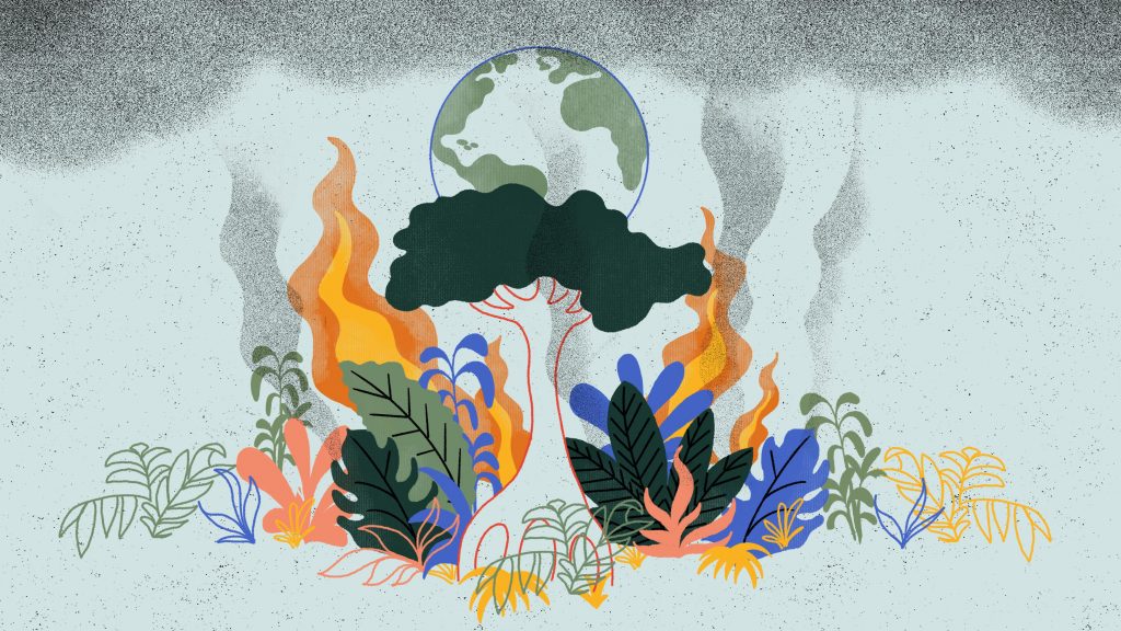 Climate change: what if the jungle turned on us?