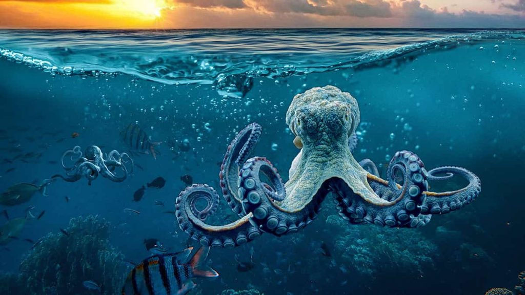 A bizarre article tests the limits of science by claiming that octopuses come from outer space