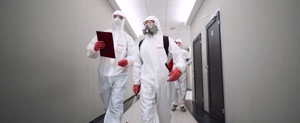 Facing record demand for disinfection, Qualinet is recruiting more than 900 people