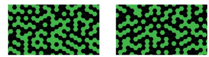Left, modeling of lizard skin with the hybrid Turing-Cellular Automaton equation.  On the right, modeling using the Ising equation.