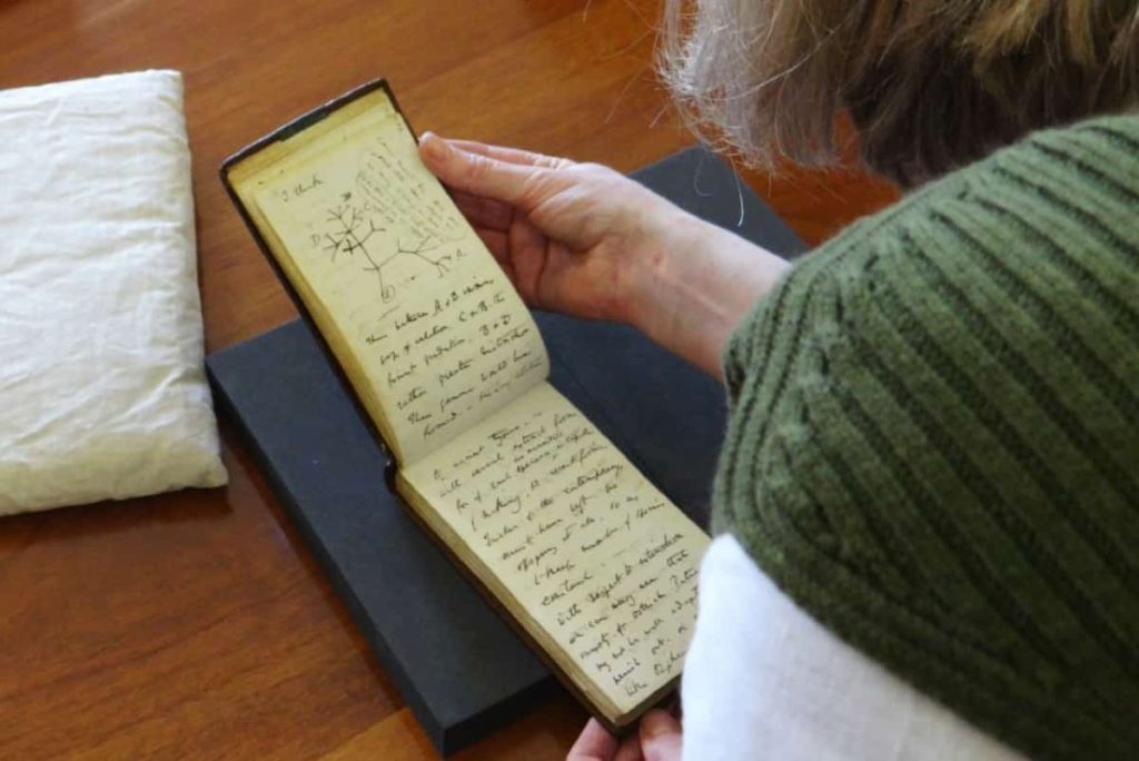 Darwin's two stolen notebooks were returned by an unknown 20 years later