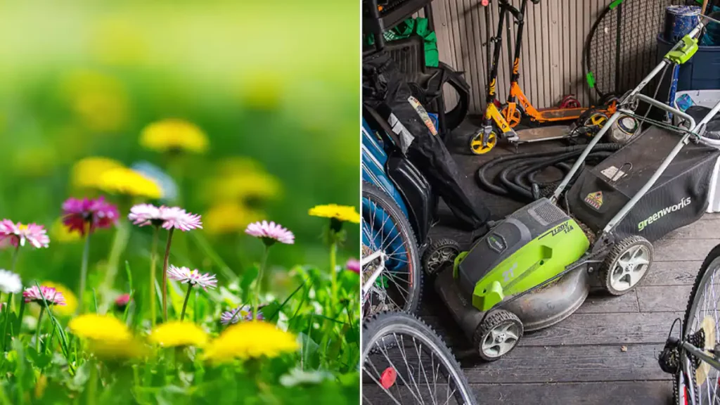 The city of Montreal advises its citizens to wait until June to mow the lawn, but its citizens are noticing that the city is already mowing the lawns in the parks.