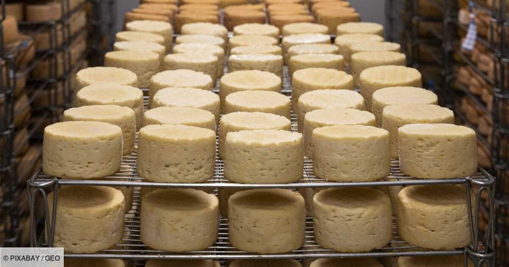 In Australia, a $ 9,000 fine for high-flavored cheese!