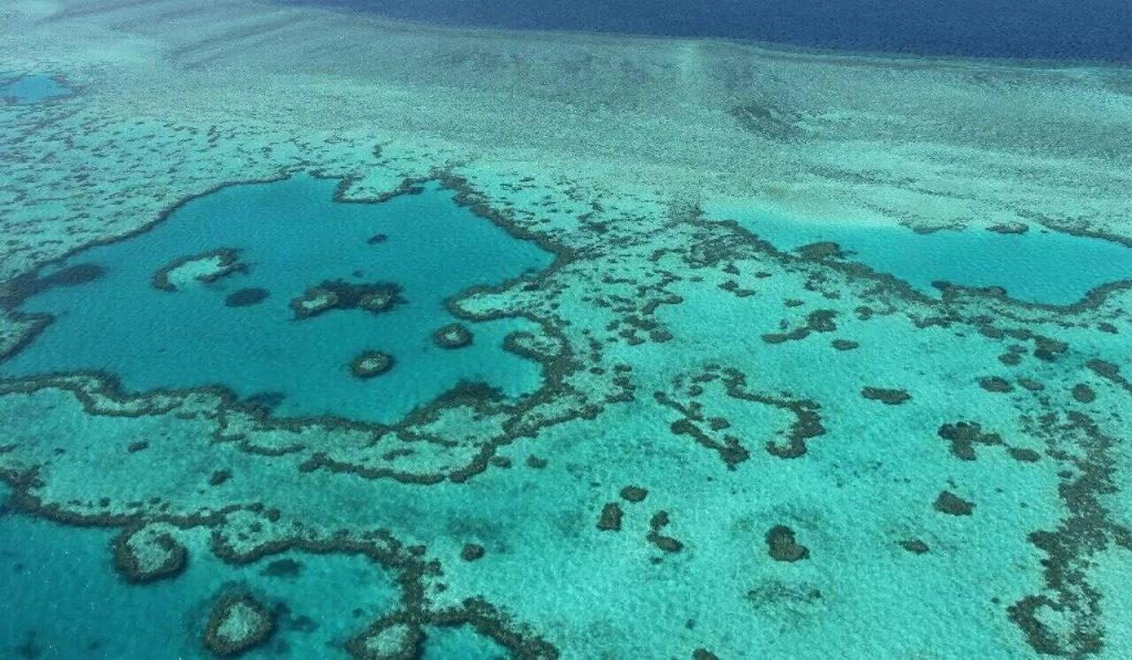 In Australia, 91% of Great Barrier Reefs are reported to be affected by 'bleaching'
