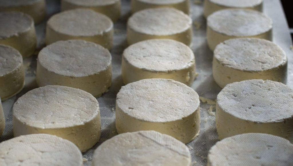 In Australia, the maker of the most fragrant cheese is fined $ 9,000