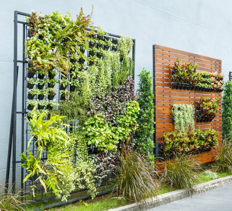 Green Walls and Balconies: Is It a Good Idea?