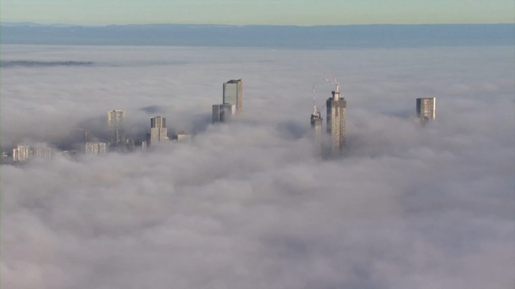 Sydney was shrouded in dense fog and flights were delayed