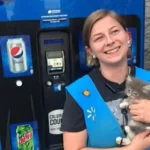 A cat sneaks into a vending machine