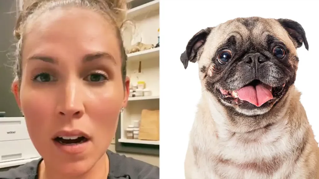 Veterinarian stirs controversy by revealing the five 'worst' dog breeds