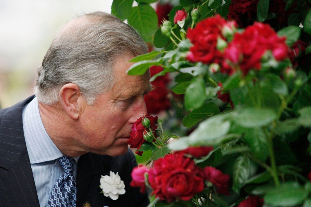Prince Charles launched a perfume