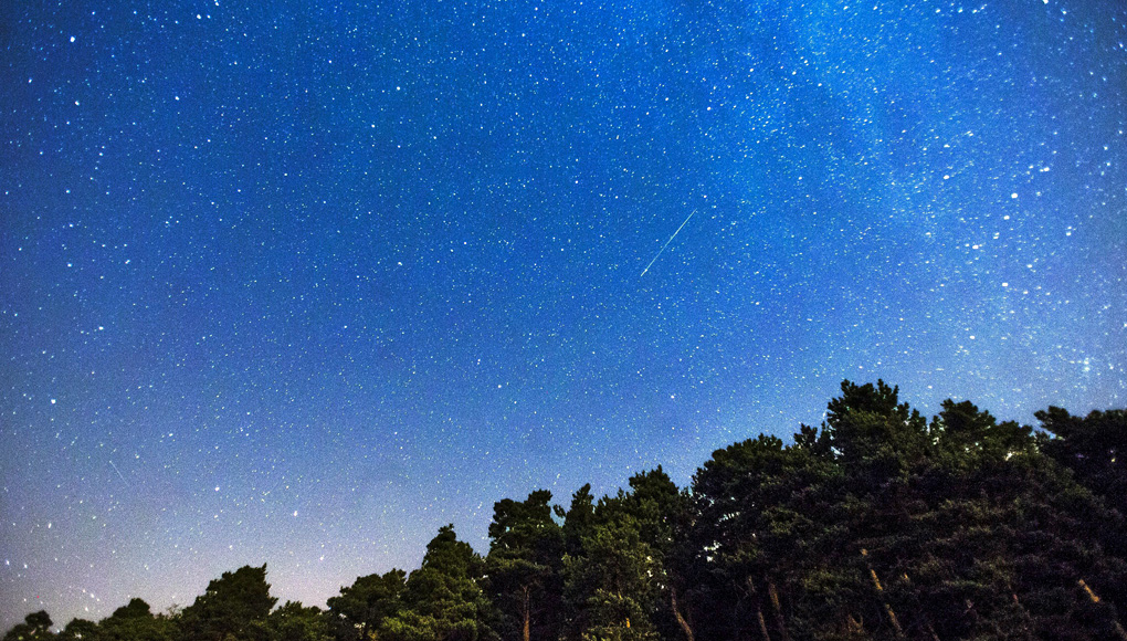 Tips for enjoying the night of the Perseids