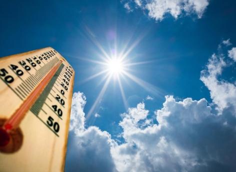 Warmer summer will increase skin cancer cases