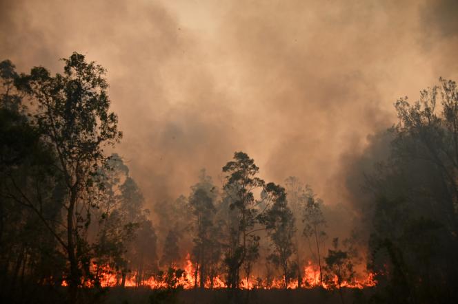 During the fire in Bobin, 350 kilometers north of Sydney, Australia on November 9, 2019.