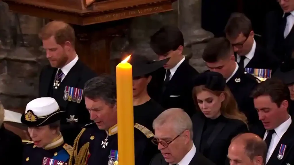 Meghan deliberately camouflaged a candle on TV?
