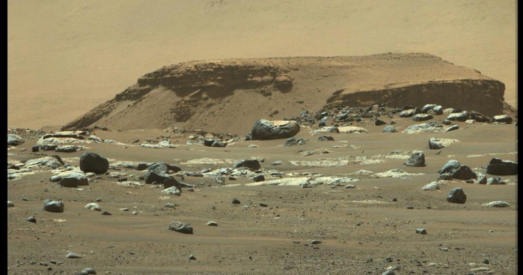 Organic matter in other Martian rocks