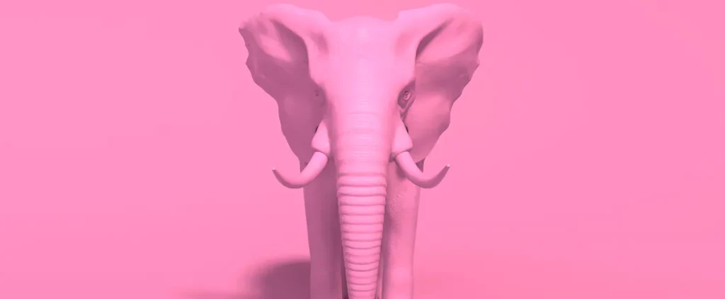 Pink Elephants!  |  Montreal Magazine