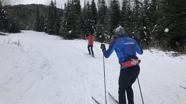 No more cross-country skiing: Laval University closes access to the Montmorency Forest to the public