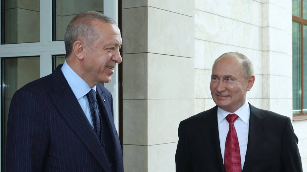 Erdogan may offer Putin mediation with Ukraine