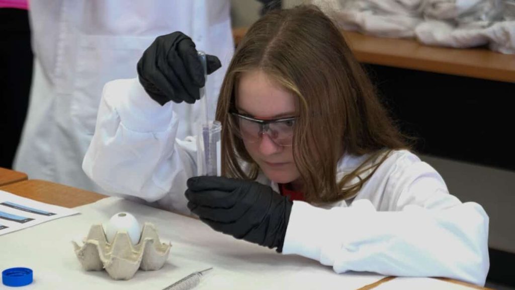 "Girls and Science": workshops to light the scientific torch