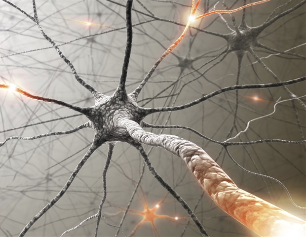 The discovery of neurons could improve treatment options for patients with neurodegenerative diseases