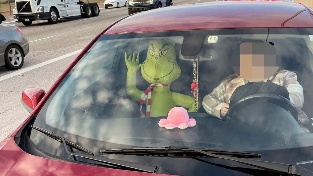 The Grinch fined for car sharing
