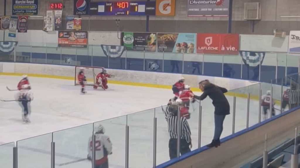 on video |  A spectator climbs the boards of the ice rink to bump into the referee
